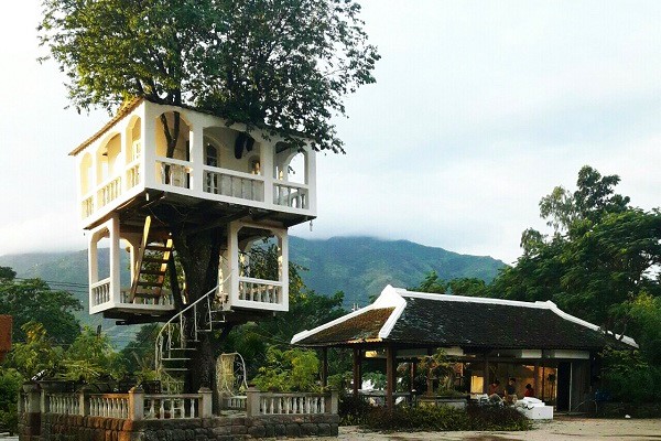 Nhà trên cây Hoàng Hoa Thôn