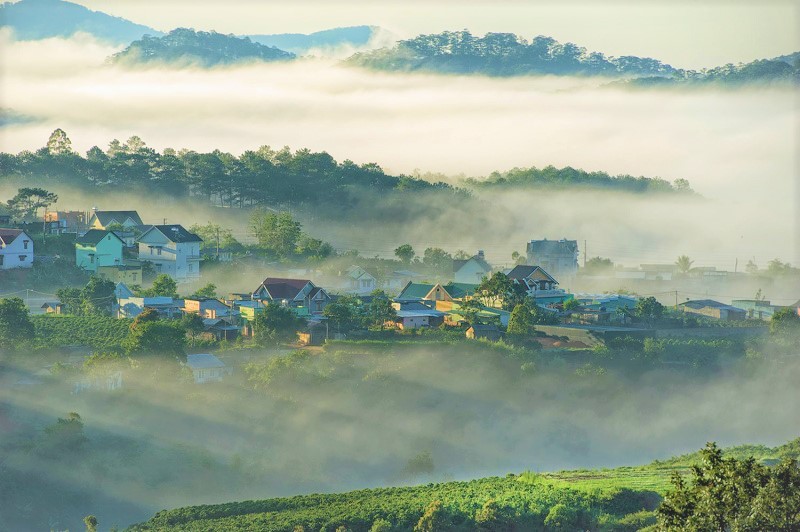 Đà Lạt - Phố núi ngàn hoa mộng mơ