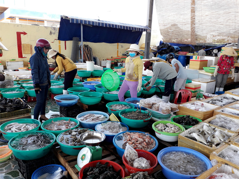 Kinh nghiệm mua hải sản tươi ngon Nha Trang