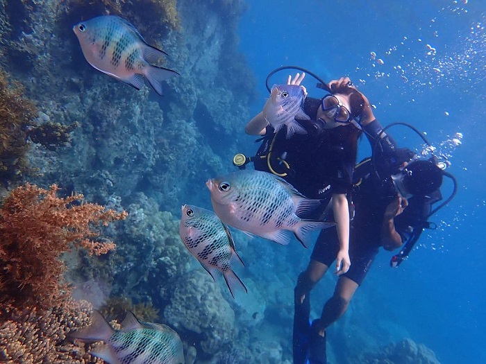 Lặn biển - Vịnh San Hô Nha Trang