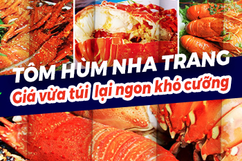 Tổng hợp địa điểm tôm hùm Nha Trang "tươi ngon - bổ rẻ" 