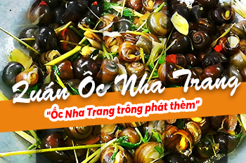 Top Những Quán Ốc Nha Trang Không Nên Bỏ Qua