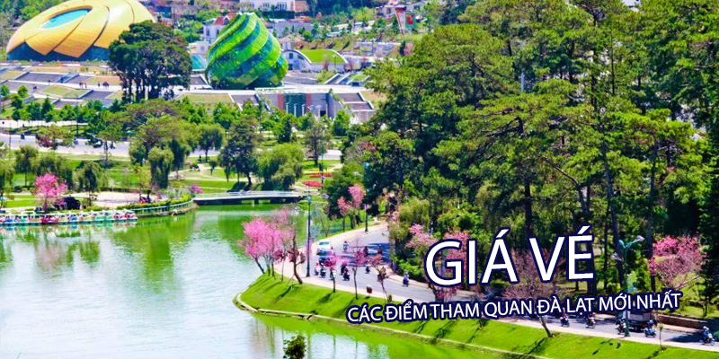 tong-hop-gia-ve-dia-diem-tham-quan-da-lat-banner.jpg