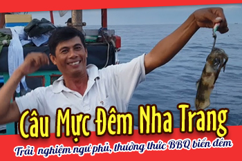 Kinh Nghiệm Câu Mực Đêm Nha Trang