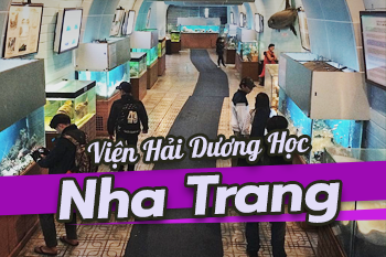 Viện Hải Dương Học Nha Trang Có Gì Hấp Dẫn Vậy?