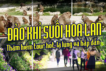 Khám Phá Đảo Khỉ - Suối Hoa Lan Nha Trang