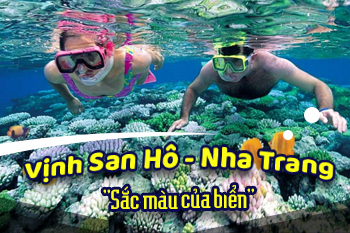 Vịnh San Hô Nha Trang - Thế Giới Đáy Biển "Đẹp Mê Người"