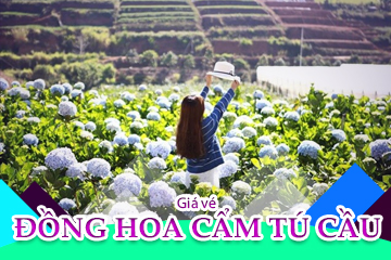 [Mới Nhất] Giá Vé Vườn Hoa Cẩm Tú Cầu Đà Lạt - Thánh Địa Sống Ảo Nơi Ngàn Hoa