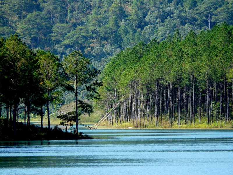 gia-di-thuyen-ho-tuyen-lam-da-lat-2.jpg