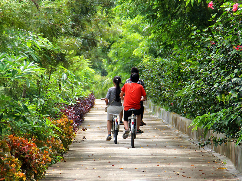 gia-ve-khu-du-lich-long-viet-ha-noi-6.jpg