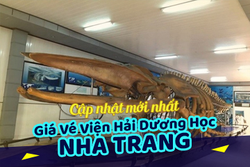 [Mới Nhất] Giá Vé Viện Hải Dương Học Nha Trang - Bảo Tàng Sinh Vật Biển Phong Phú