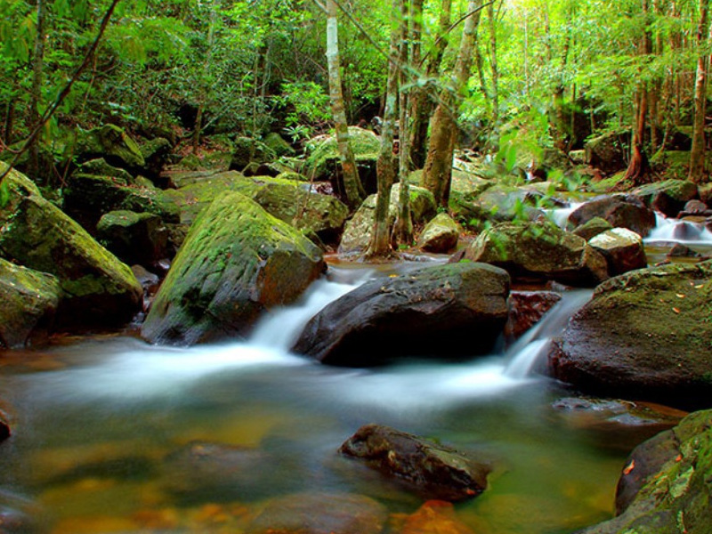 gia-ve-kdl-suoi-tranh-phu-quoc-3.jpg