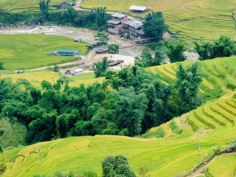 gia-ve-ban-ta-phin-sapa-lao-cai-3.jpg