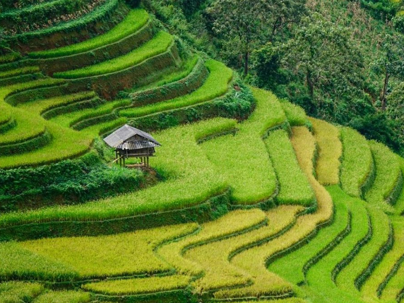 gia-ve-ban-ta-phin-sapa-lao-cai-4.jpg