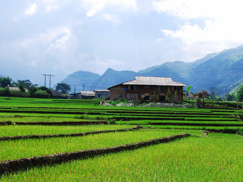 gia-ve-ban-ta-van-sapa-lao-cai-1.jpg
