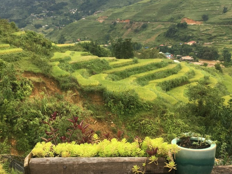 gia-ve-ban-ta-van-sapa-lao-cai-4.jpg