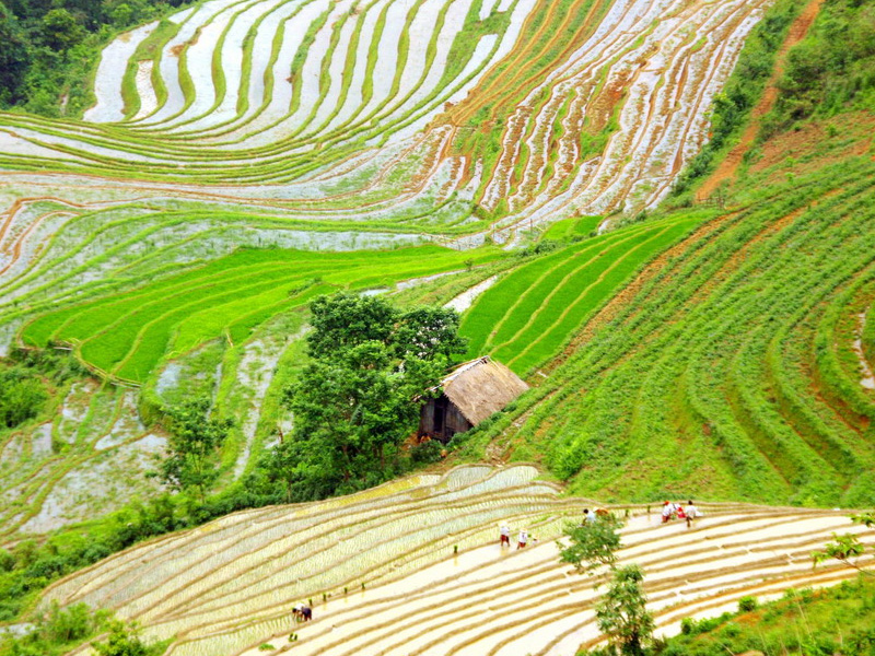gia-ve-ban-ta-van-sapa-lao-cai-5.jpg