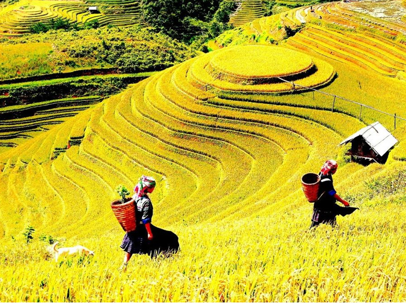 gia-ve-ban-ho-sapa-lao-cai-2.jpg