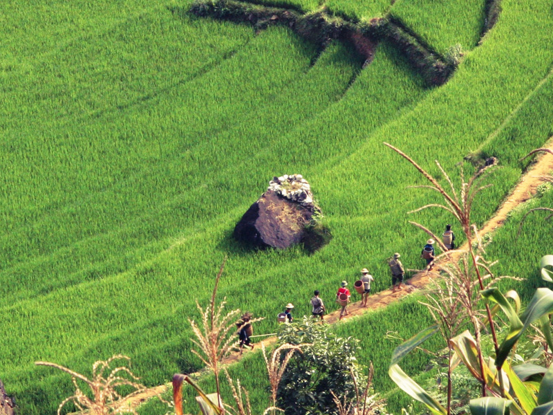 gia-ve-ban-ho-sapa-lao-cai-4.jpg