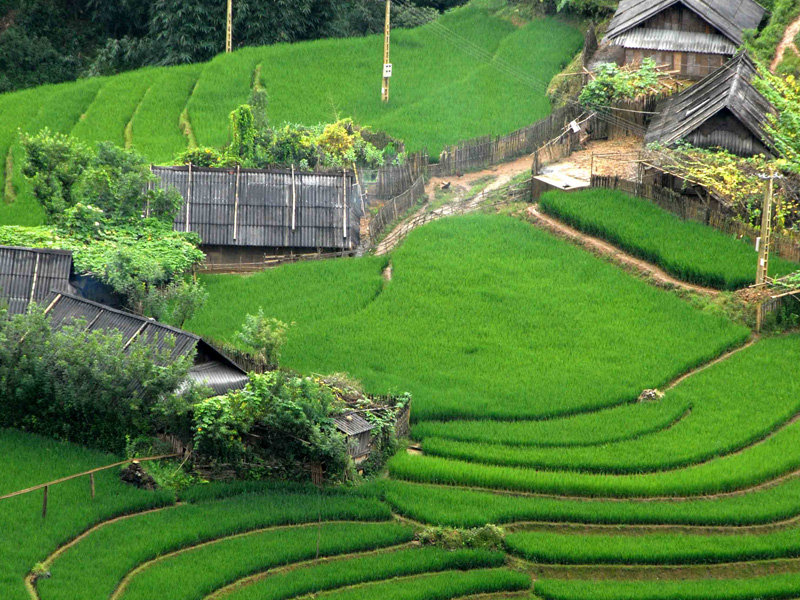 gia-ve-ban-ho-sapa-lao-cai-5.jpg
