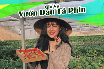 [Mới Nhất] Giá Vé Vườn Dâu Tả Phìn Sapa Lào Cai