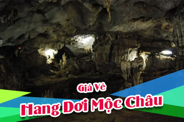 [Mới Nhất] Giá Vé Hang Dơi Mộc Châu - Kỳ Tích Thiên Nhiên Độc Đáo