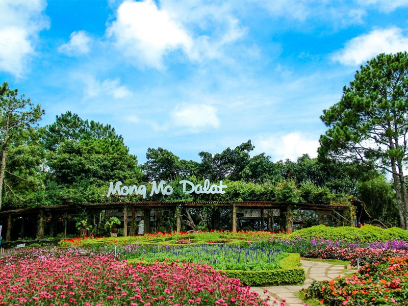 gia-ve-doi-mong-mo-da-lat-5.jpg
