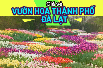 Giá Vé Vườn Hoa Thành Phố Đà Lạt Mới Nhất