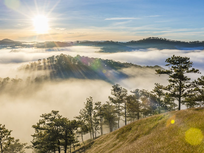gia-ve-thung-lung-vang-da-lat-6.jpg