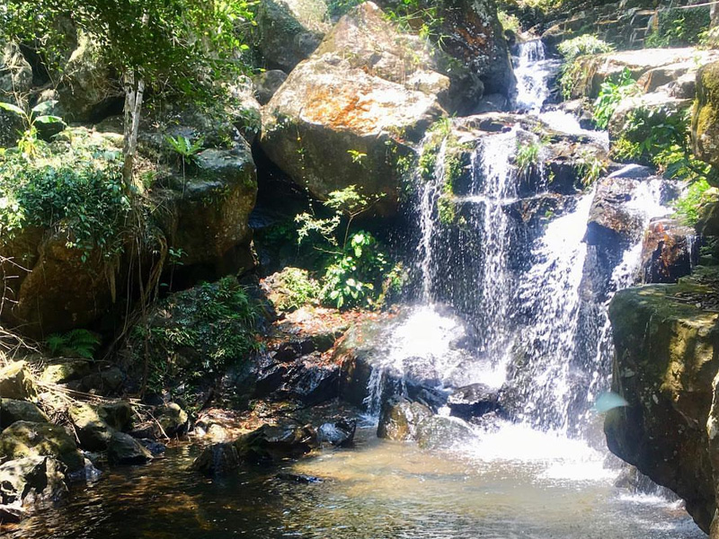gia-ve-vuon-thuc-vat-phong-nha-quang-binh-3.jpg