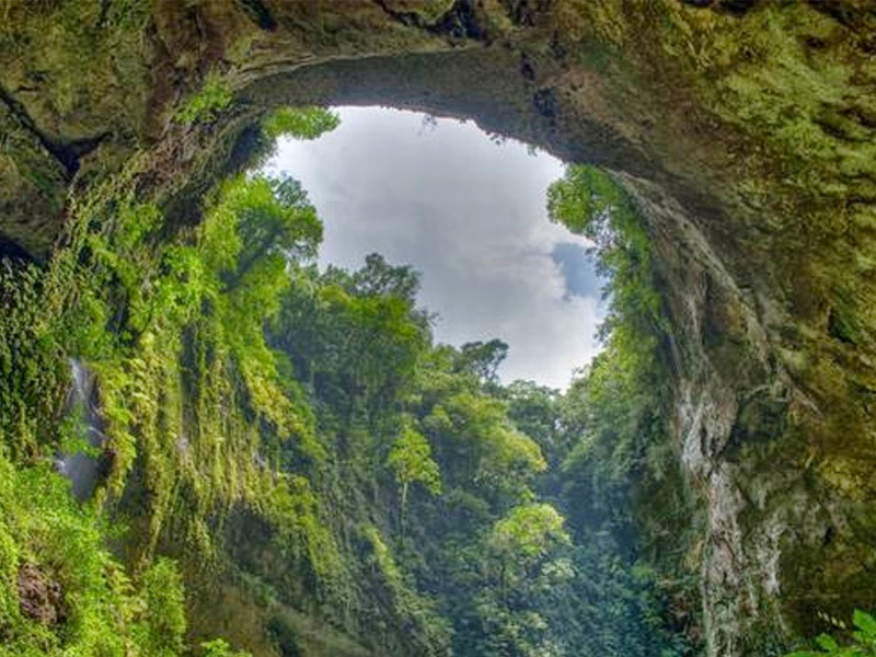 gia-ve-vuon-thuc-vat-phong-nha-quang-binh-6.jpg