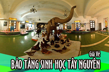 Giá Vé Bảo Tàng Sinh Học Tây Nguyên Mới Nhất