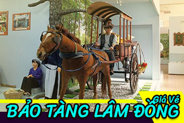 Giá Vé Bảo Tàng Lâm Đồng - Đà Lạt Mới Nhất