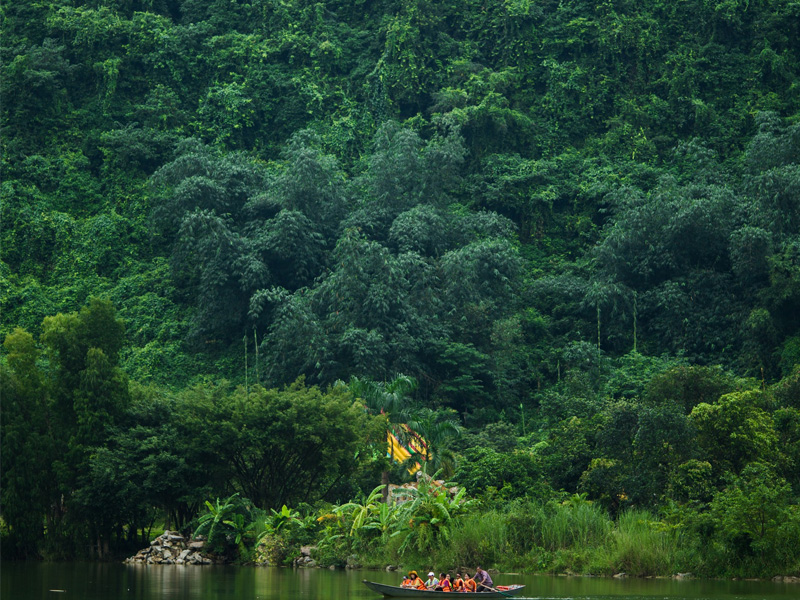 gia-ve-vuon-chim-thung-nham-ninh-binh-6.jpg
