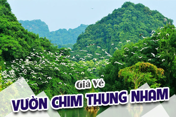 [Mới Nhất] Giá Vé Vườn Chim Thung Nham Ninh Bình - Tung Cánh Giữa Đất Trời Tràng An