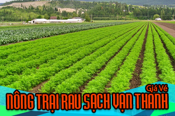 Giá Vé Nông Trại Rau Sạch Vạn Thành