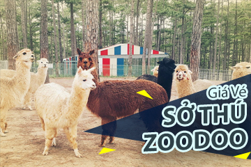 Giá Vé SỞ Thú Zoodoo Đà Lạt Mới Nhất