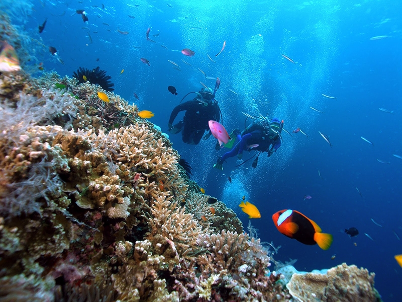 tour-du-thuyen-sea-coral-kham-pha-mini-beach-lang-chai-lan-ngam-san-ho.jpg