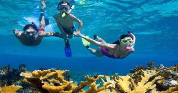 snorkeling-600x315.jpg.jpg