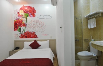 the-carnation-hotel.jpg