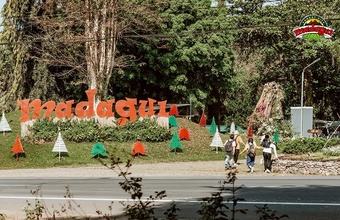 madagui-forest-city.jpg