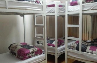 tiny-tigers-hostel.jpg