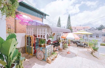 mint-garden.jpg
