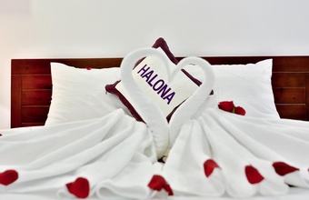 halona-hotel.jpg