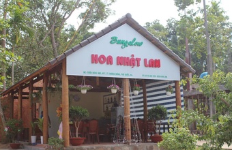 hoa-nhat-lan-bungalow.jpg