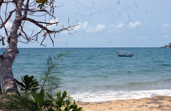 gold-sand-beach-bungalow.jpg