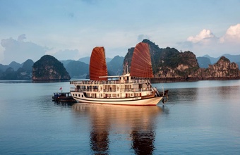 apricot-premium-cruises.jpg