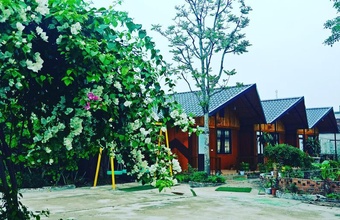 ninh-binh-eco-garden-bungalow.jpg