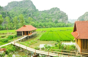 lotus-field-homestay.jpg