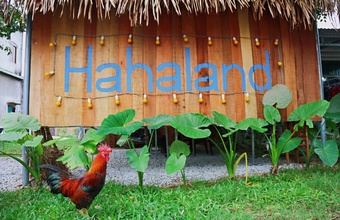 hahaland-hostel.jpg